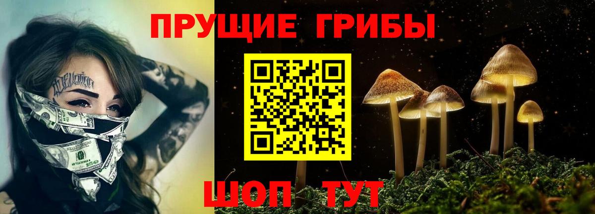 Волгодонск  Галлюциногенные грибы Psilocybine cubensis  Псилоцибиновые грибы мухоморы  Вход с VPN 